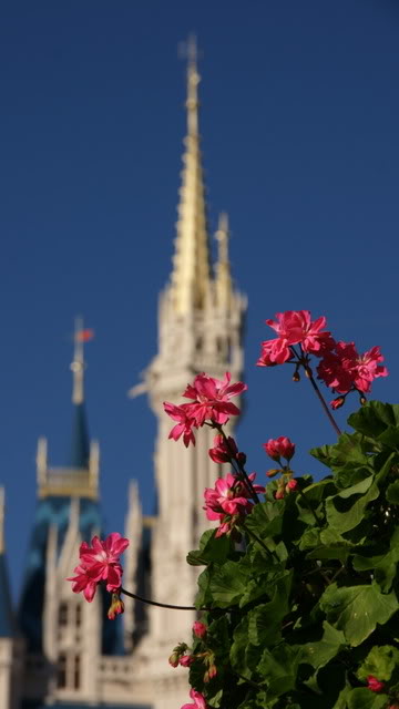 Springtime at Cinderella's Castle.