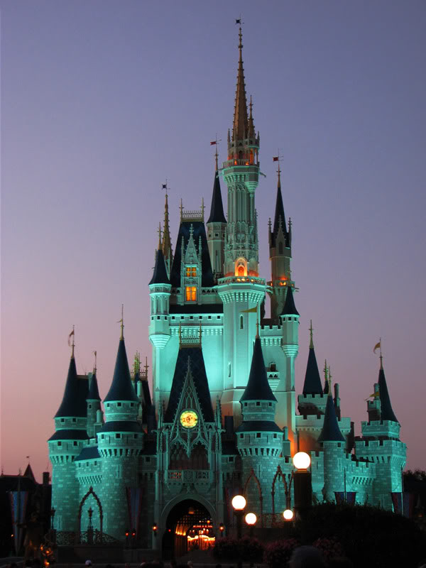 YOUR DISNEY CASTLE