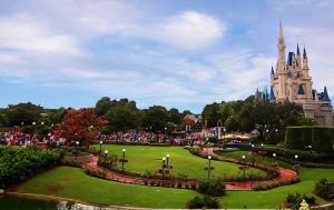 A Dream is a Wish Your Heart Makes....