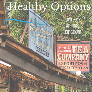 Disney-Animal-Kingdom-Healthy-Dining-Options-Tea-Anandapur