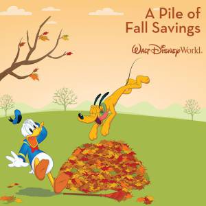 11143421_982530381798164_3937091908667877402_n