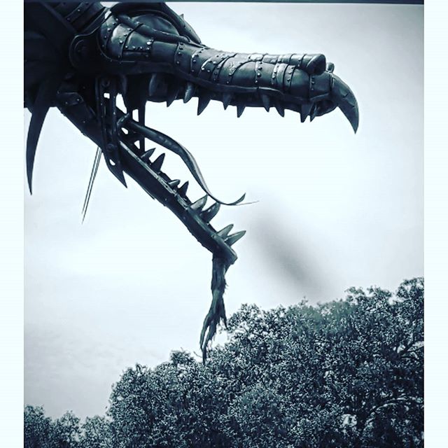 18381867_2293155700910271_2691188252399894528_n