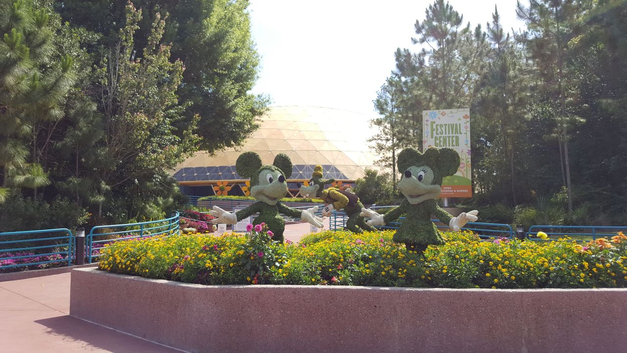 18158986_1604238496284446_6213787529406054400_n