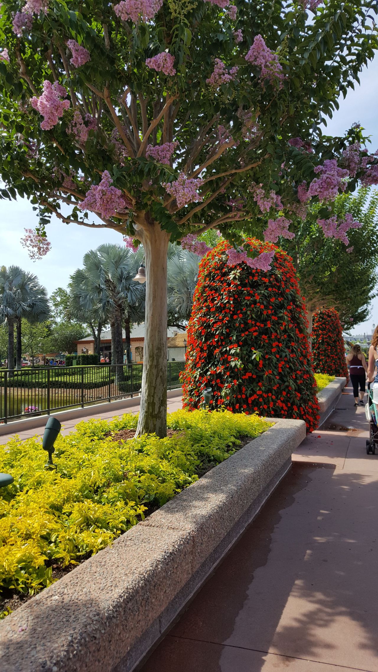 18159161_1604238452951117_7877234346036297728_n