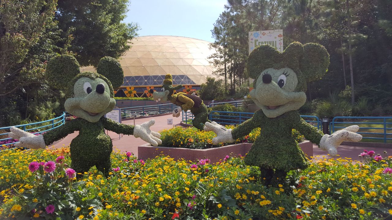 18235387_1604238549617774_837280011516903424_n