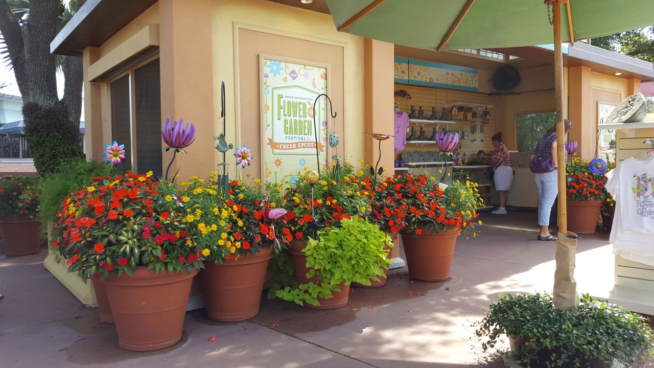 18280451_1604238252951137_6346214492266823680_n