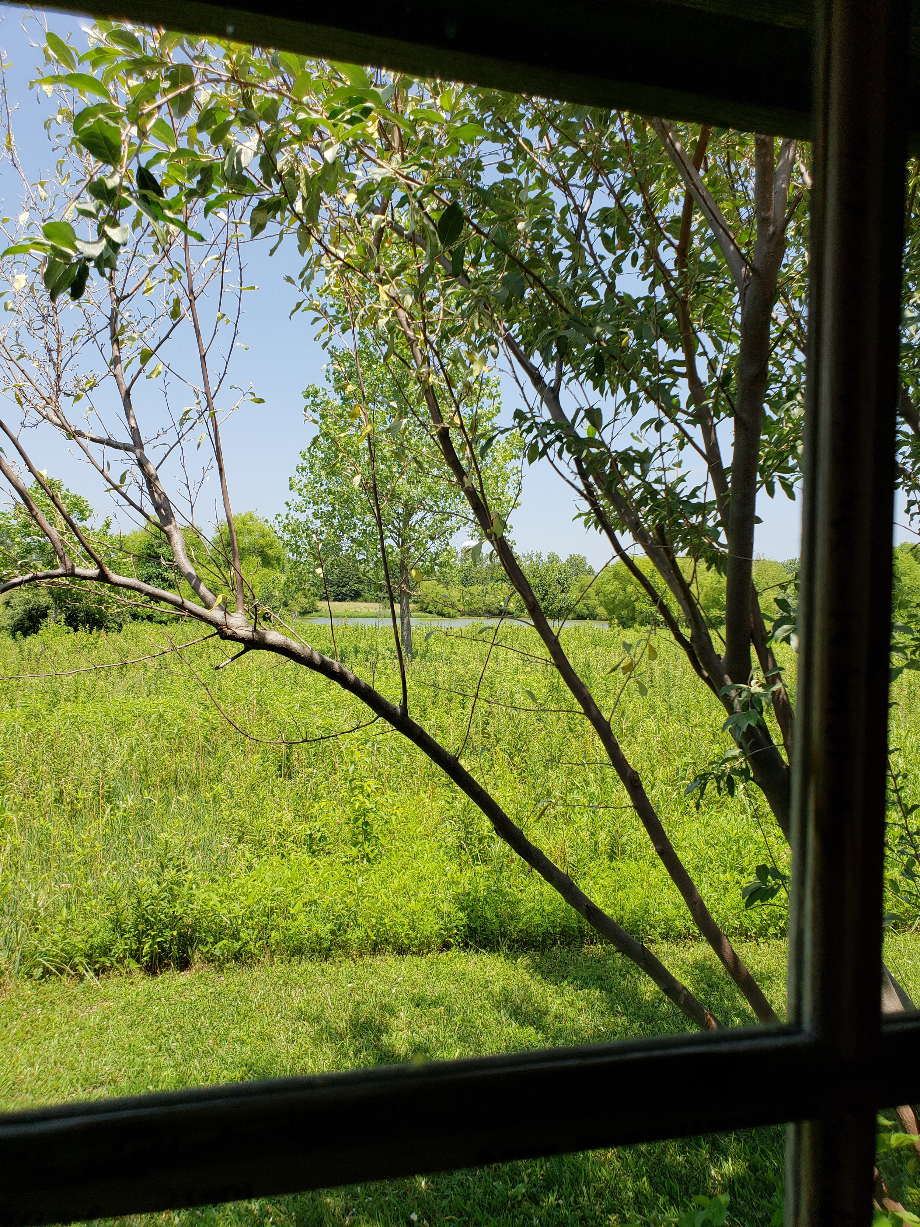 LRM_EXPORT_20180702_151727