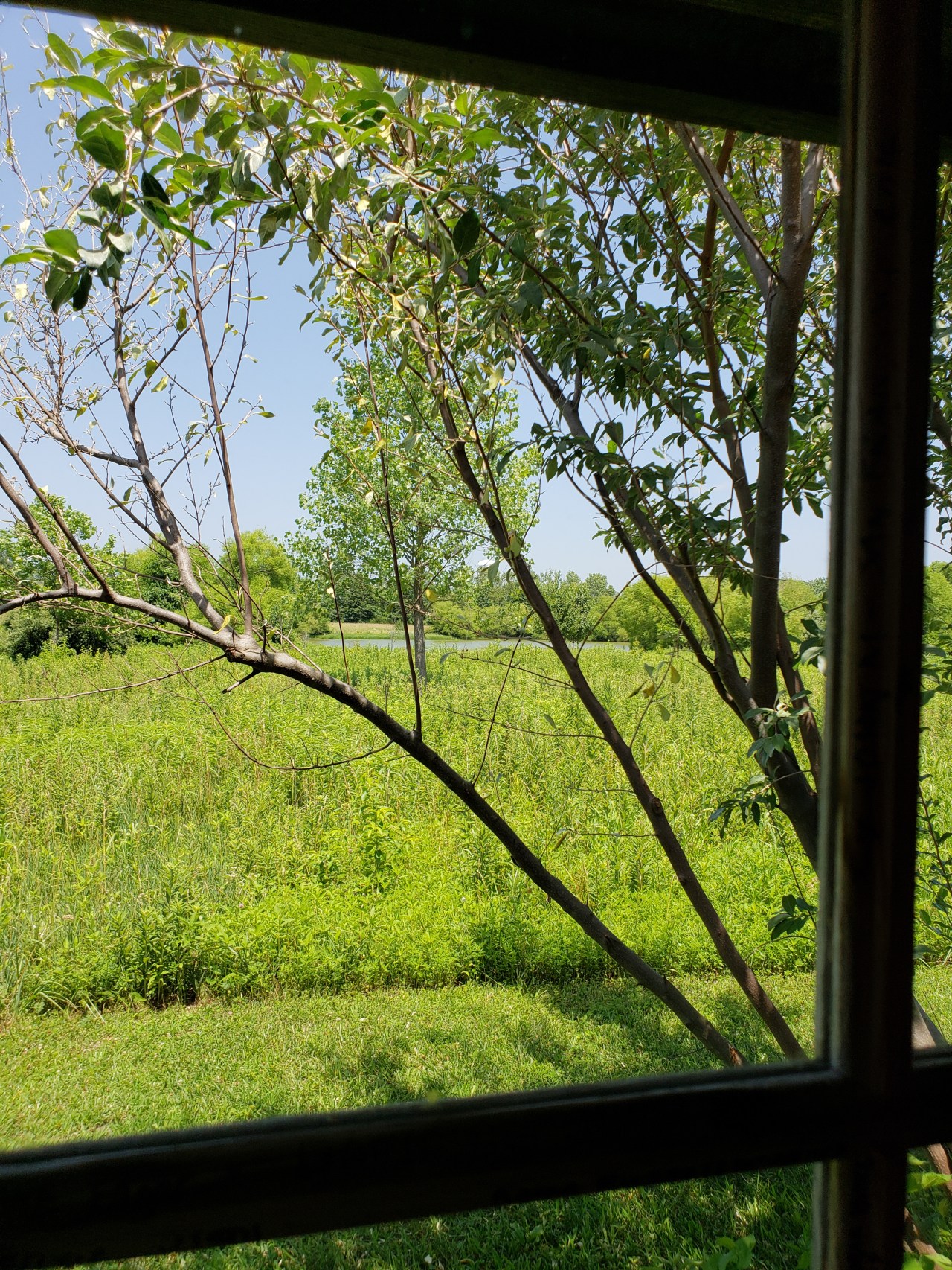 LRM_EXPORT_20180702_151727