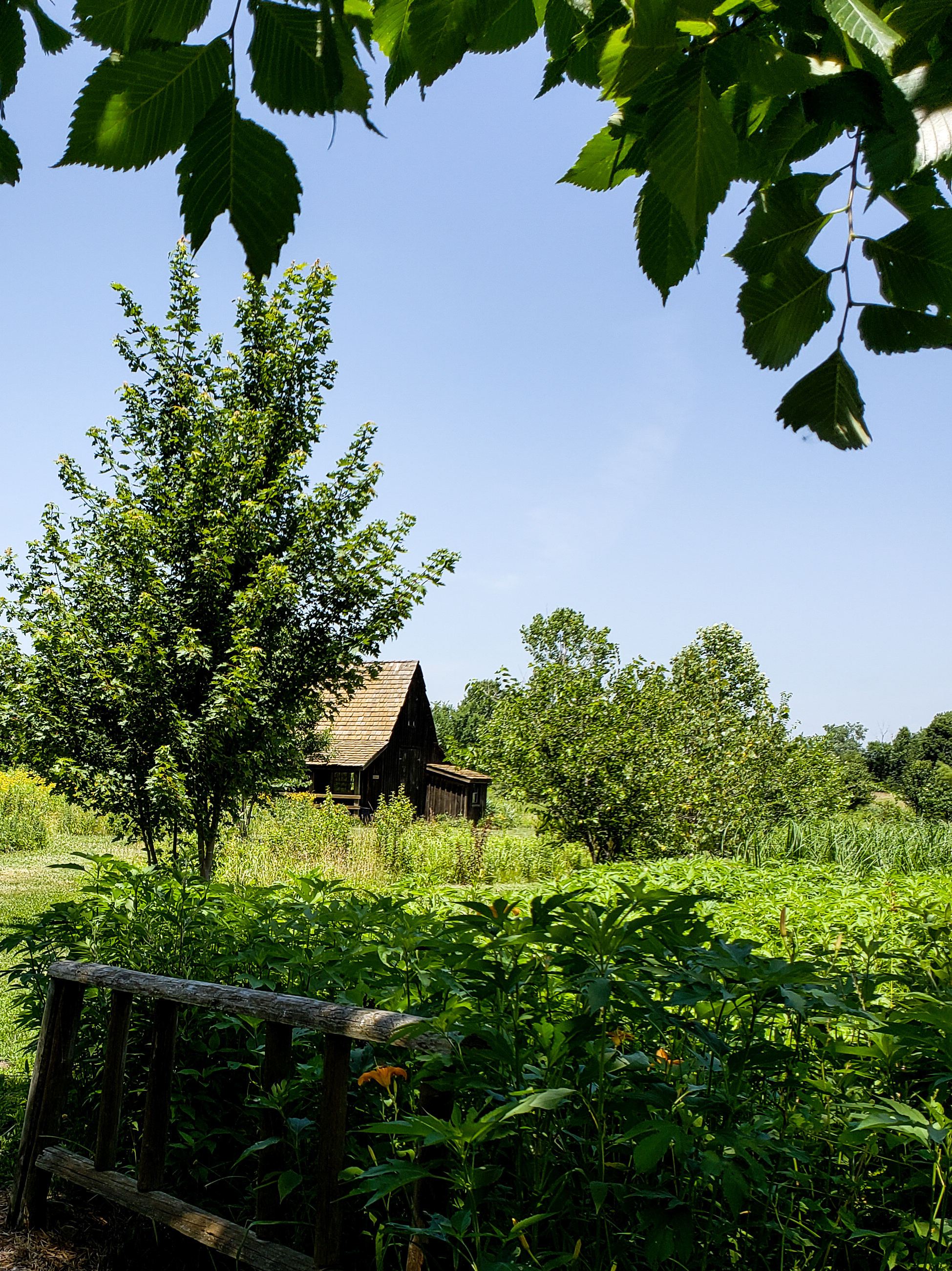 LRM_EXPORT_20180702_152230