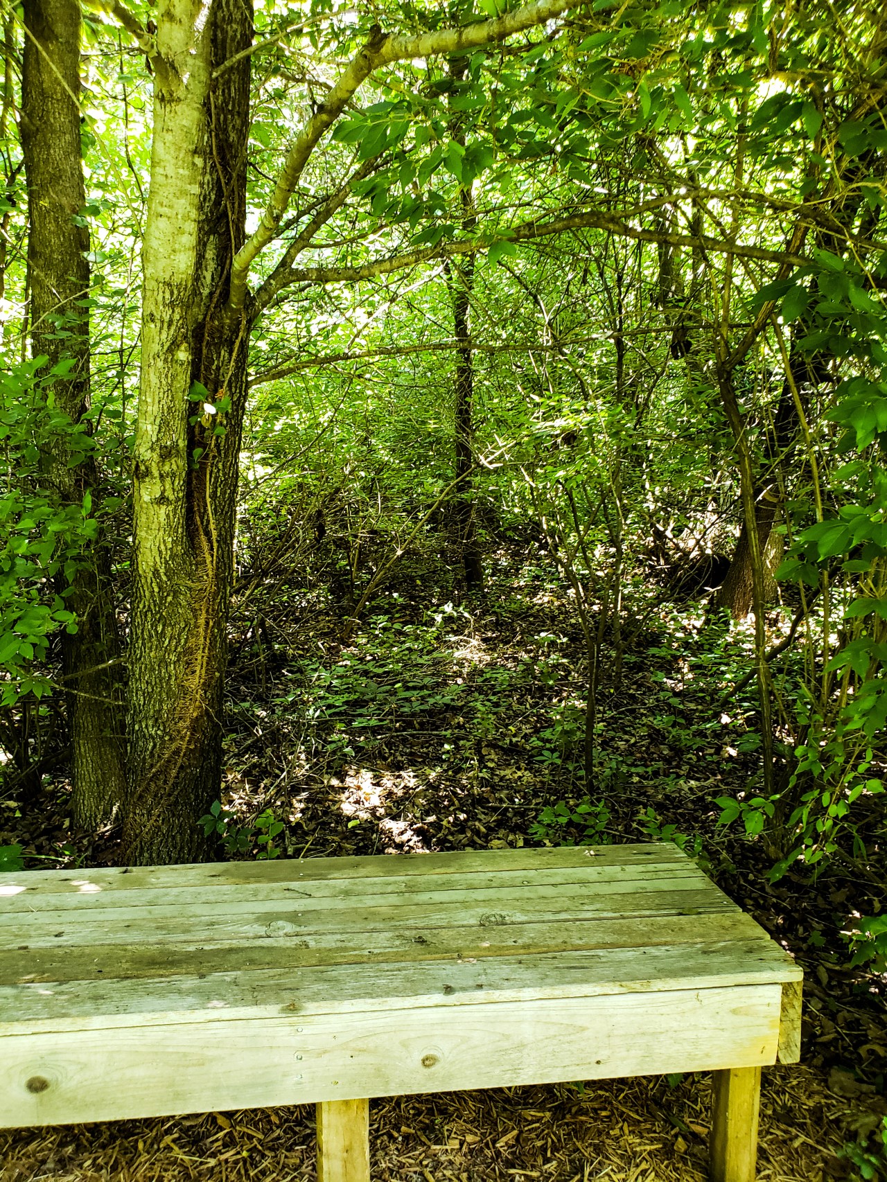 LRM_EXPORT_20180702_152327