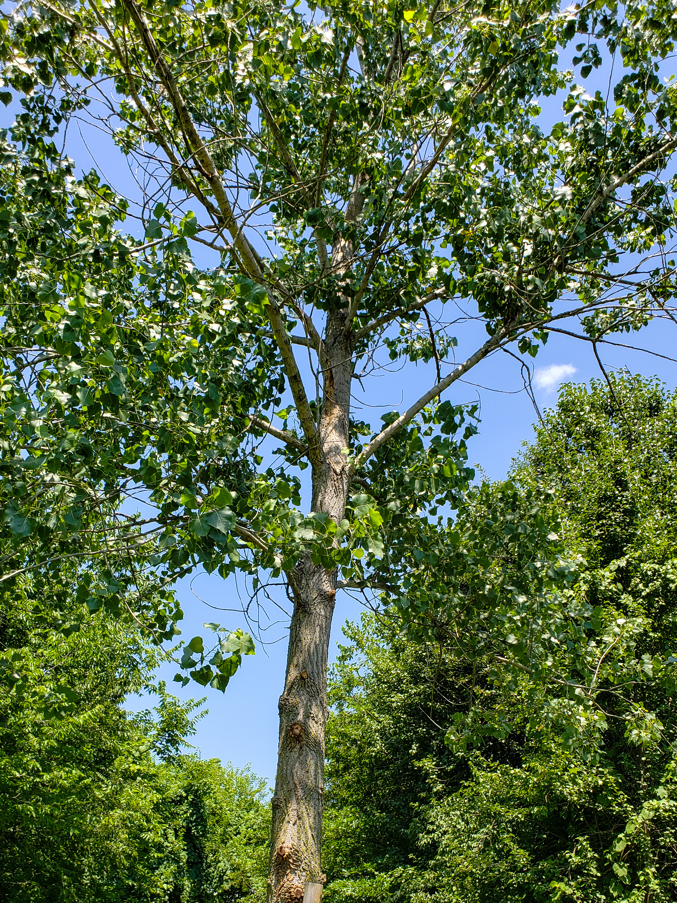 LRM_EXPORT_20180702_152834