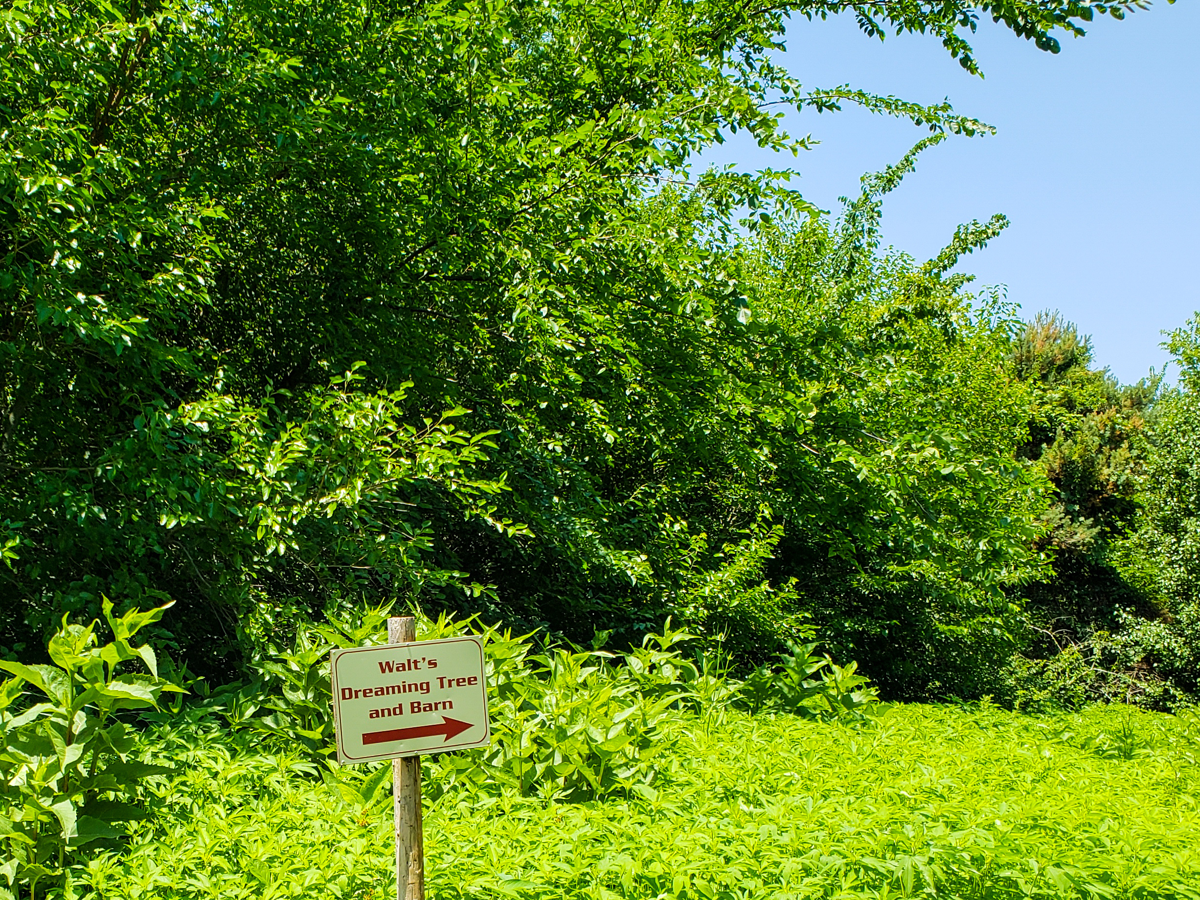 LRM_EXPORT_20180702_152908