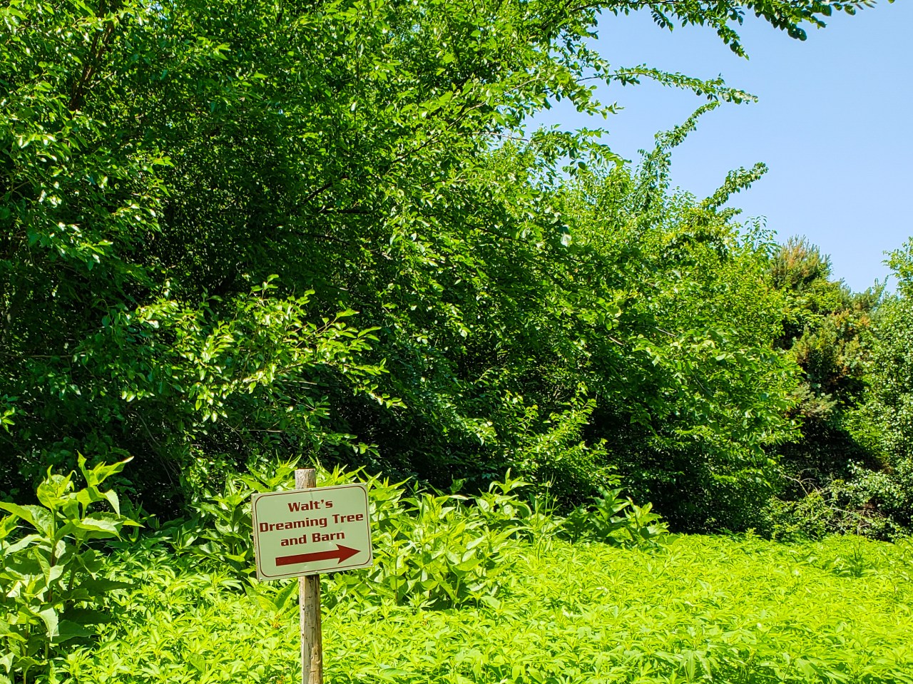 LRM_EXPORT_20180702_152908