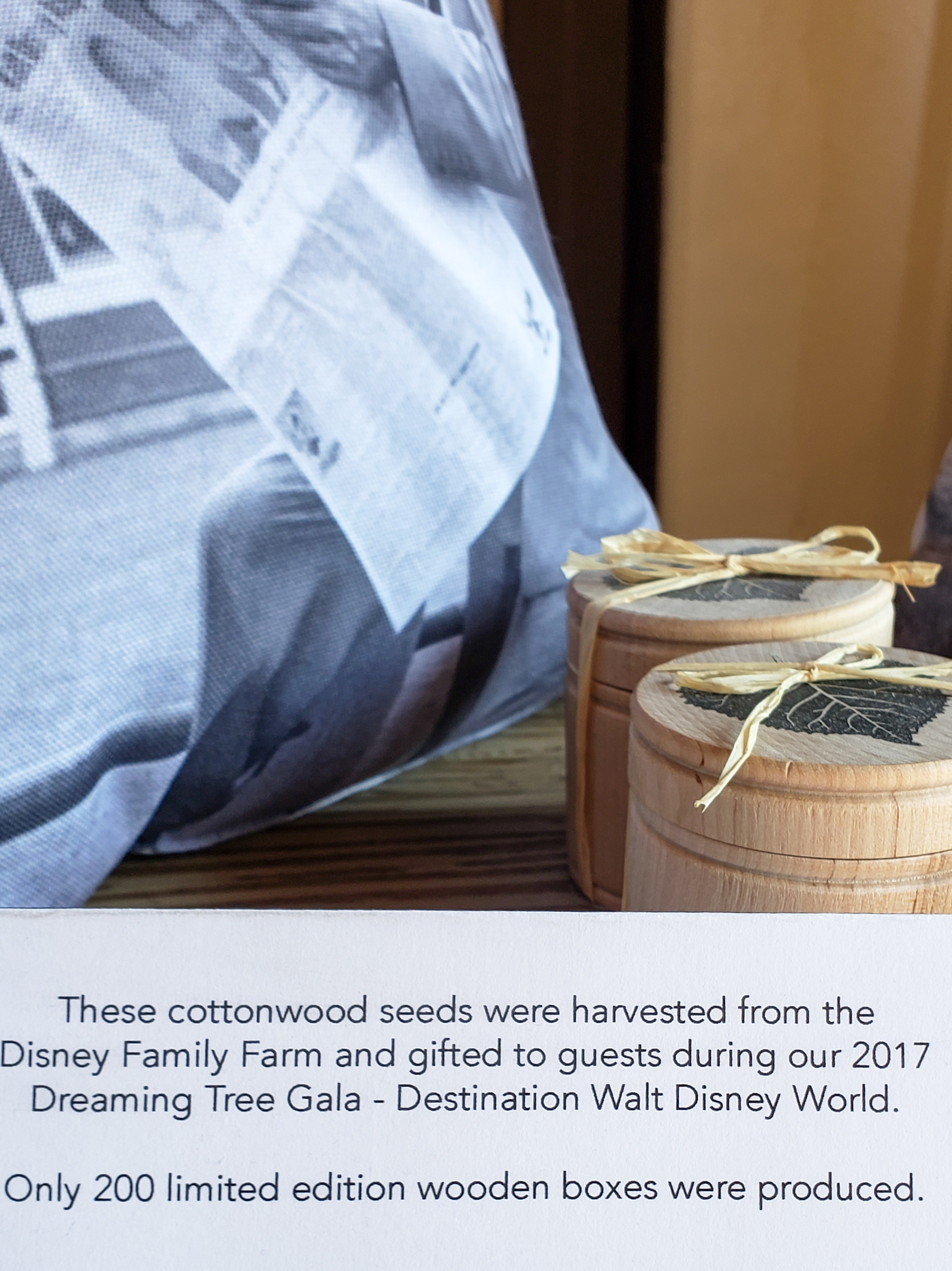 LRM_EXPORT_20180702_153050