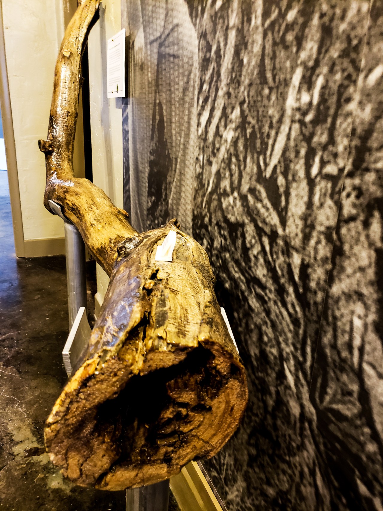 LRM_EXPORT_20180702_154234