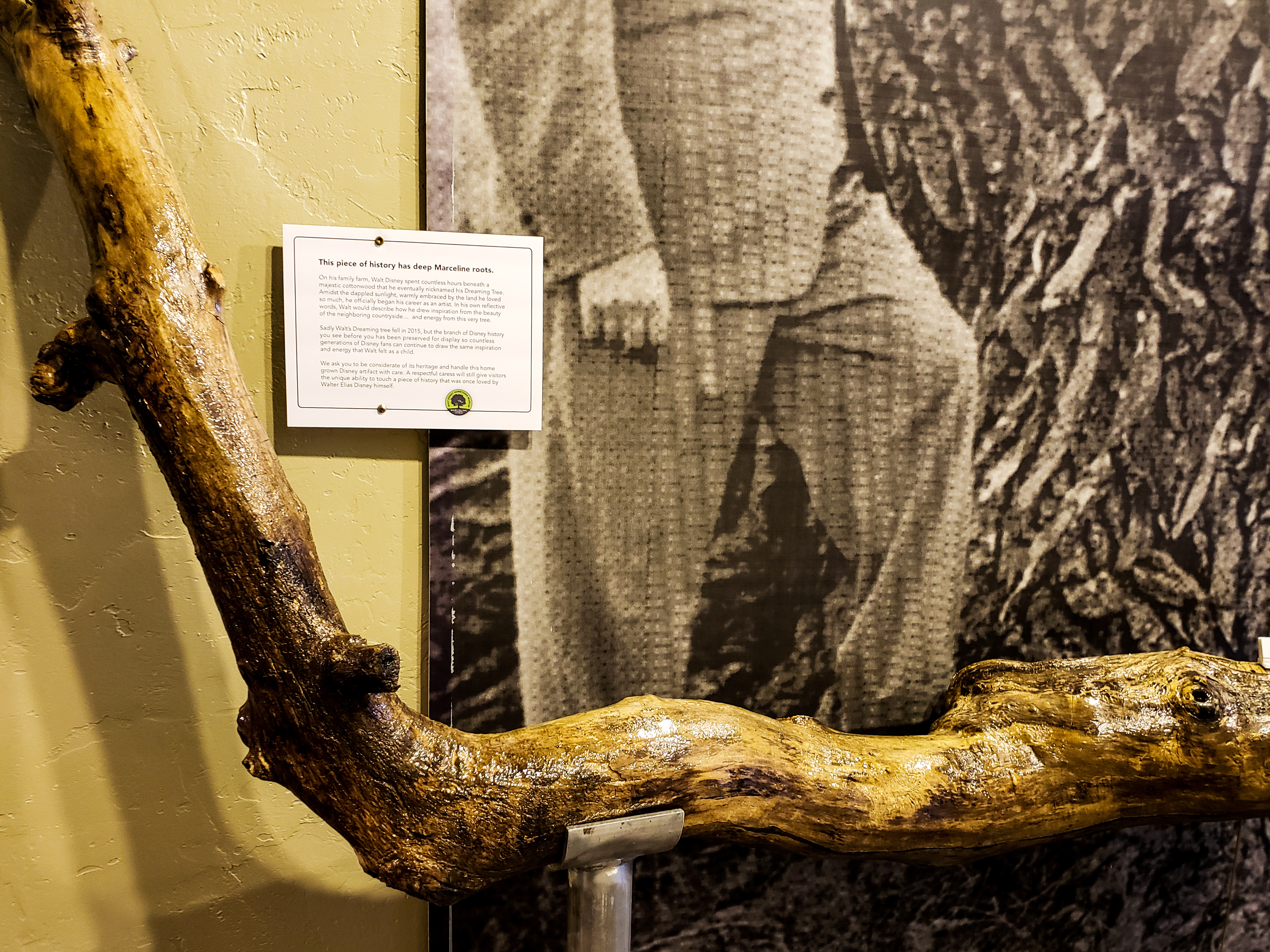 LRM_EXPORT_20180702_154305