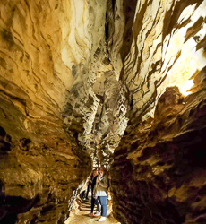 87618035_10215226052114053_8657117492646248448_o-2